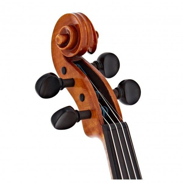 Wessex V Series Violin Outfit, Gold Setup
