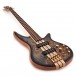 Jackson Spectra SBP IV, Black Burst