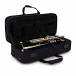 B&S Prodige Trumpet, Reverse Leadpipe, Clear Lacquer