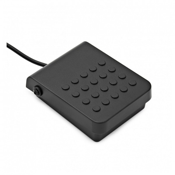 Casio Foot-Pedal
