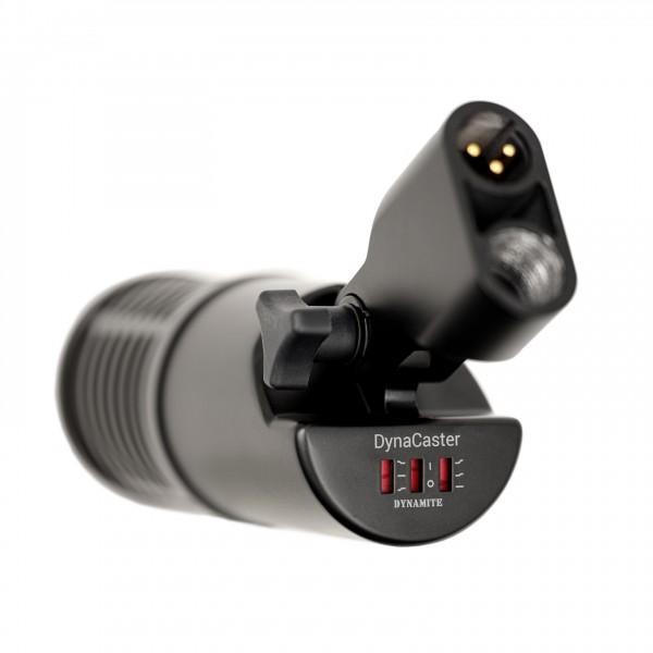 sE Electronics Dynacaster Microphone - Angled Rear