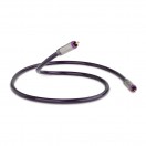 QED Reference Digital Audio 40 with Digiloc RCA Plugs 0.6m