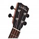 Cordoba 21T-CE Tenor Ukulele, Spruce/Striped Ebony
