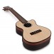 Cordoba 21T-CE Tenor Ukulele, Spruce/Striped Ebony