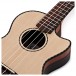 Cordoba 21T-CE Tenor Ukulele, Spruce/Striped Ebony