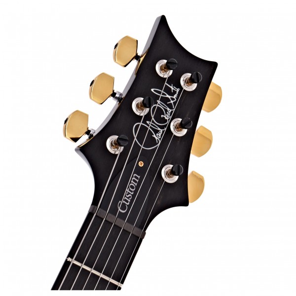 PRS Custom 24 10 Top, Purple Iris #0332758