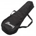 Ibanez UKC100 Ukelele, Open Pore Natural - Gig Bag View