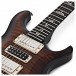 PRS Special Semi Hollow, Black Gold Burst #0332682