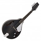 Tanglewood TWM T BKP E Union Series Electric Mandolin, Black