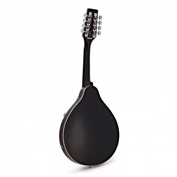 Tanglewood TWM T BKP E Union Series Electric Mandolin