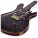 PRS Custom 24, 10 Top Purple Iris #0331864