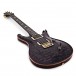 PRS Custom 24, 10 Top Purple Iris #0331864