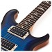 PRS CE24, Custom Colour 1 #0331980