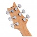 PRS CE24, Custom Colour 1 #0331980
