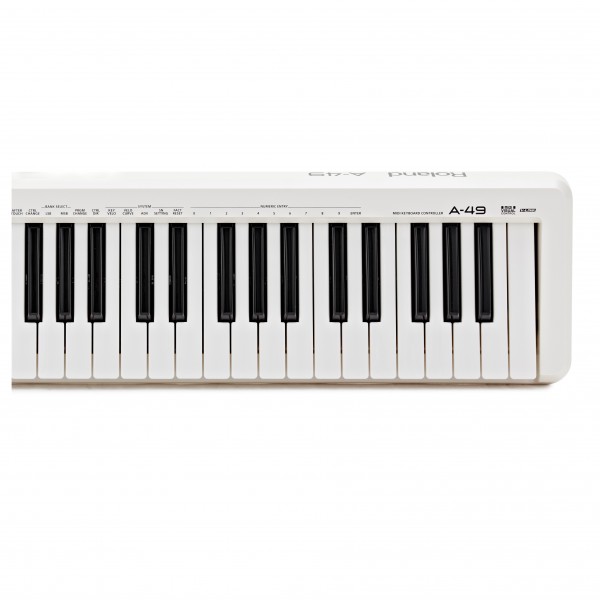Roland A-49 MIDI Controller Keyboard, White