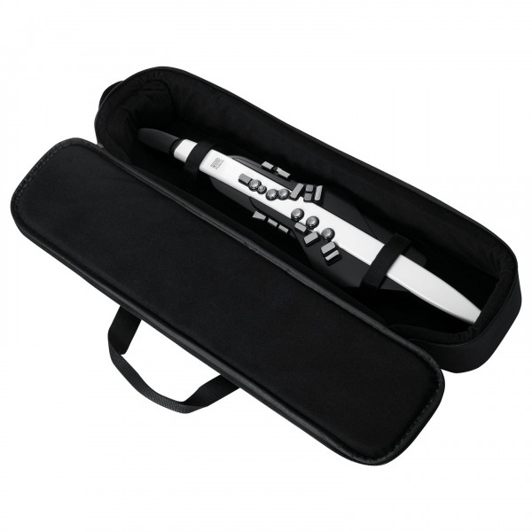 Roland Aerophone AE-20 with Bag