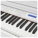 GDP-200 Digital Grand Piano by Gear4music, Gloss White