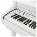 GDP-200 Digital Grand Piano by Gear4music, Gloss White