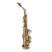 Alto Saxophone by Gear4music, Nickel & Gold