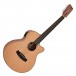 Tanglewood TW12CE Winterleaf 12-String Electro, Natural Satin