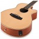 Tanglewood TW12CE Winterleaf 12-String Electro, Natural Satin