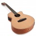 Tanglewood TW12CE Winterleaf 12-String Electro, Natural Satin