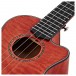 Tanglewood TWT25E Tiare Concert Electro Cutaway Ukulele