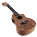 Tanglewood TWT13E Tiare Concert Size Electro Ukulele