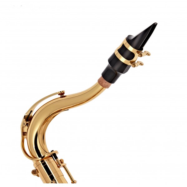 Trevor James Evo Tenor Sax Gold Lacquer