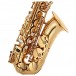 Trevor James Evo Alto Sax Gold Lacquer