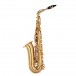 Trevor James Evo Alto Sax Gold Lacquer