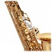 Trevor James Evo Alto Sax Gold Lacquer