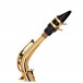 Trevor James Evo Alto Sax Gold Lacquer
