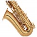 Trevor James Evo Alto Sax Gold Lacquer