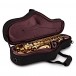 Trevor James Evo Alto Sax Gold Lacquer