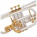 Odyssey Symphonique Bb Cornet with Case and Denis Wick Mouthpiece