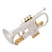 Odyssey Symphonique Bb Cornet with Case and Denis Wick Mouthpiece