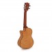 Tanglewood TWT29E Tiare Concert Electro Cutaway Ukulele