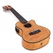Tanglewood TWT29E Tiare Concert Electro Cutaway Ukulele