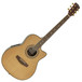 Round Back Electro Acoustic Guitar