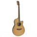 Round Back Electro Acoustic Guitar