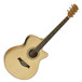 Single Cutaway Electro Acoustic Guitar