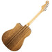 Fender Sonoran SCE Wildwood IV, Dao