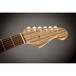 Fender Sonoran SCE Wildwood IV, Dao