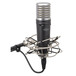 Samson MTR231a Mic & Access