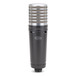 Samson MTR231a Mic & Access