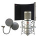 sE Electronics Z3300a Condenser, sE Duel Pop and Reflection Filter