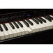 Roland DP-90S Digital Piano, Polished Ebony