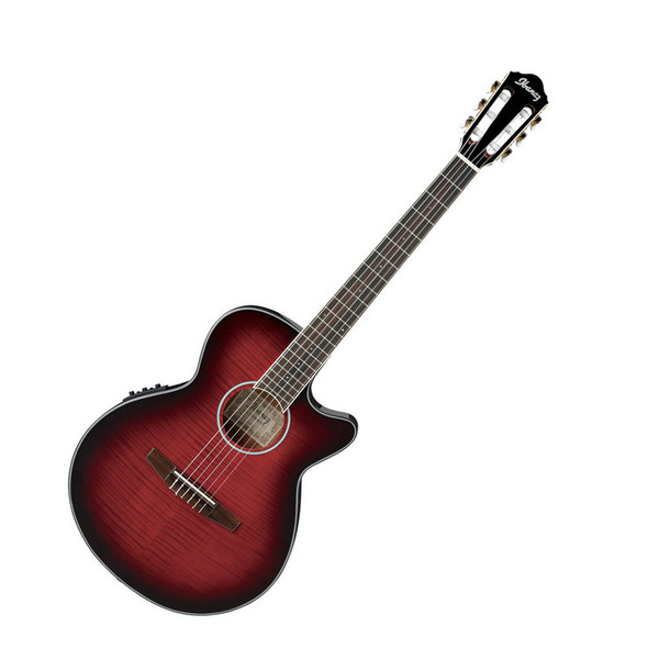 Ibanez AEG24NII-THS Acoustic Guitar