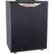 Ashdown Rootmaster 210 Amp Cabinet